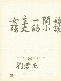 女主一开始就很强大的小说