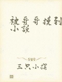 被哥哥摸到高潮小说