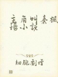 主角叫秦枫的官场小说