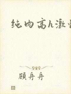 纯肉高h激情文封面