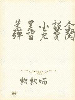 叶昊小说全文无弹窗免费阅读封面