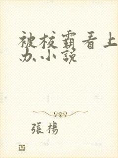 被校霸看上怎么办小说