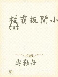 校霸扳开小班长txt
