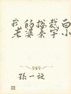 我的总裁白富美老婆秦宇小说正版