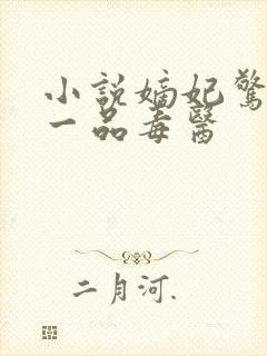 小说嫡妃惊华:一品毒医