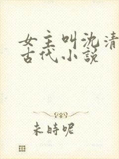 女主叫沈清欢的古代小说