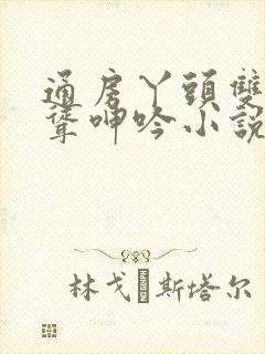 通房丫头双乳高耸呻吟小说