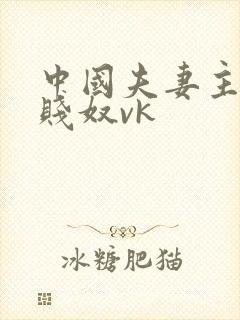 中国夫妻主调教贱奴vk封面