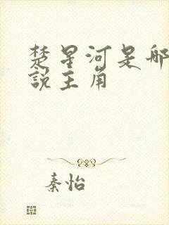 楚星河是哪部小说主角