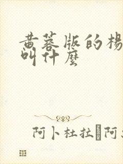 黄蓉版的杨贵妃叫什么