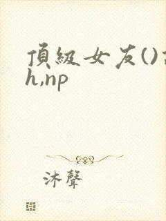 顶级女友()高h,np