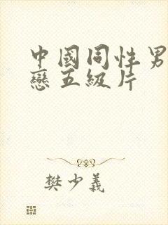 中国同性男同性恋五级片封面