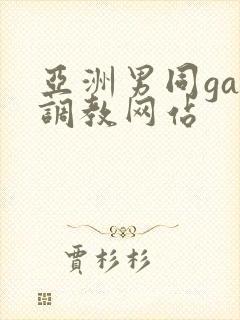 亚洲男同gay调教网站