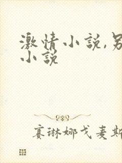 激情小说,另类小说