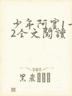 少年阿宾1一72全文阅读