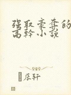 强取豪夺的男主高干小说