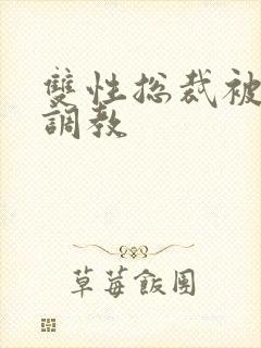 双性总裁被主人调教