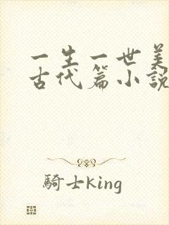 一生一世美人骨古代篇小说封面