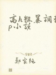 高h粗暴调教np小说