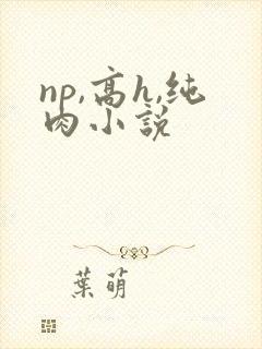 np,高h,纯肉小说