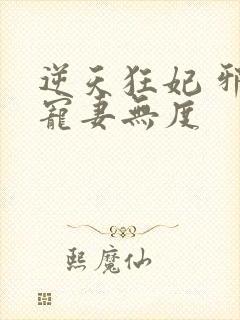 逆天狂妃 邪王宠妻无度