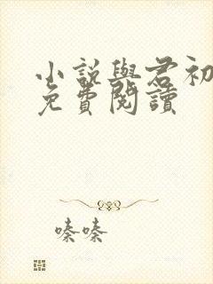 小说与君初相识免费阅读