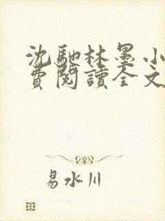 沈驰林墨小说免费阅读全文最新章节