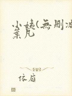 小姨(无删减)叶凡