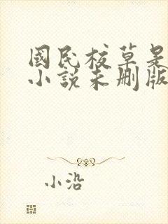 国民校草是女生小说未删版
