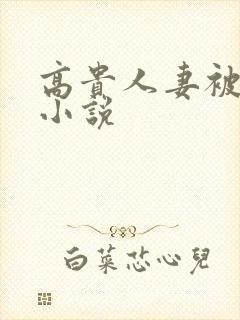 高贵人妻被调教小说封面