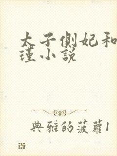 太子侧妃和沈怀瑾小说