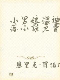 小男娘温迪的堕落小说免费阅读最新