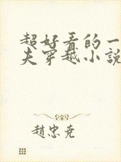 超好看的一女多夫穿越小说