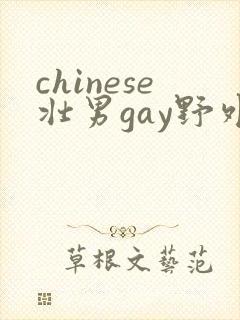chinese壮男gay野外强迫封面