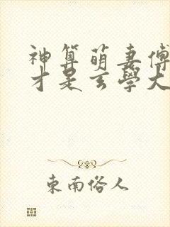 神算萌妻傅太太才是玄学大佬小说