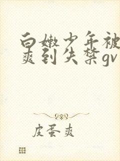 白嫩少年被调教爽到失禁gv小说