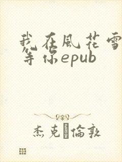 我在风花雪月里等你epub