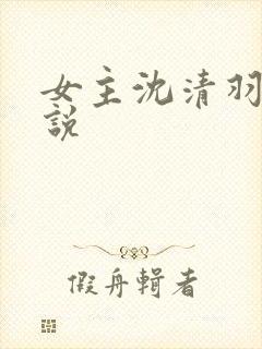女主沈清羽的小说封面