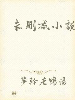 未删减小说男男