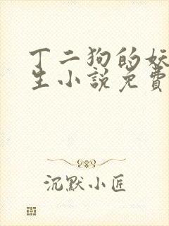 丁二狗的妖孽人生小说免费阅读封面