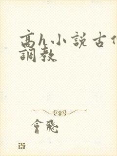 高h小说古代穴调教封面