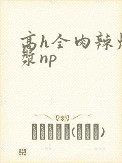 高h全肉辣爆灌浆np