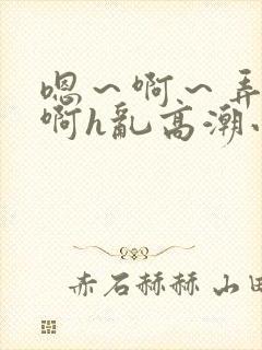 嗯～啊～弄嗯～啊h乱高潮小说