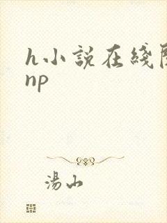 h小说在线阅读np