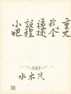 小说逼我重生是吧程逐全文阅读