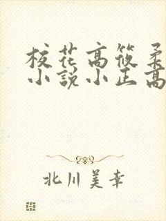校花高筱柔系列小说小正高达封面