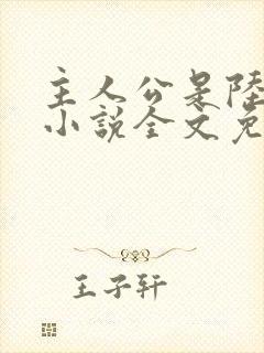 主人公是陆鸣的小说全文免费阅读封面