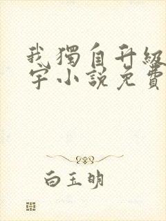 我独自升级肖程宇小说免费