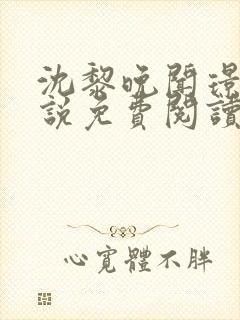 沈黎晚闻璟川小说免费阅读最新章节