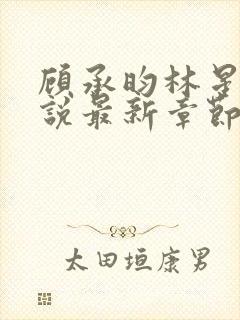 顾承昀林星禾小说最新章节免费阅读